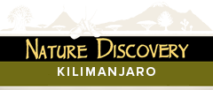 Nature Discovery