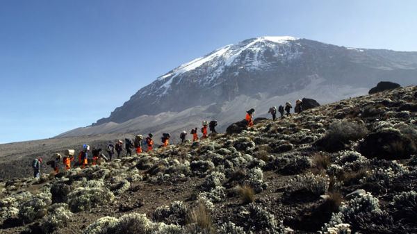 We’re The Best Kilimanjaro Tour Company - It’s Official!