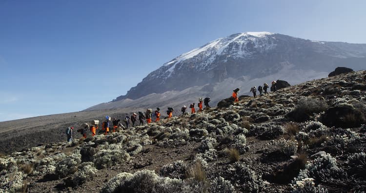 What's Best Month To Climb Kilimanjaro? Nature Discovery Tanzania