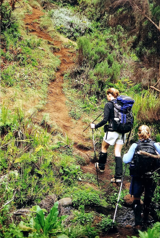 Marangu trekking 